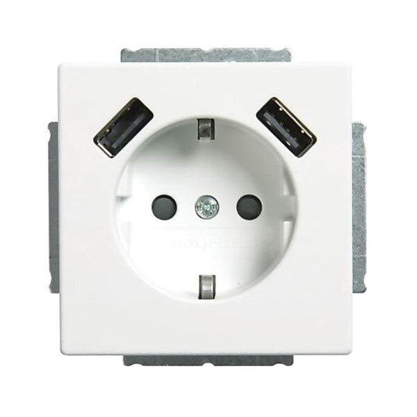 Busch-Jaeger SCHUKO-2x USB Steckdose 20 EUCB2USB-884